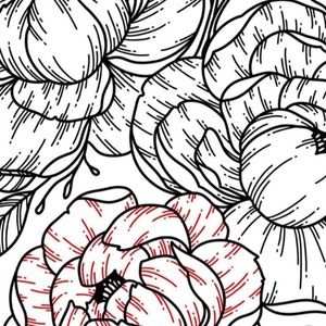 Meet your Posher, Monika